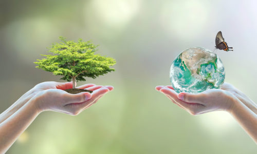 Tree planting and earth on volunteer's hands for World environment day concept. Element of this image furnished by NASA