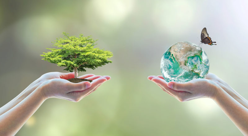 Tree planting and earth on volunteer's hands for World environment day concept. Element of this image furnished by NASA